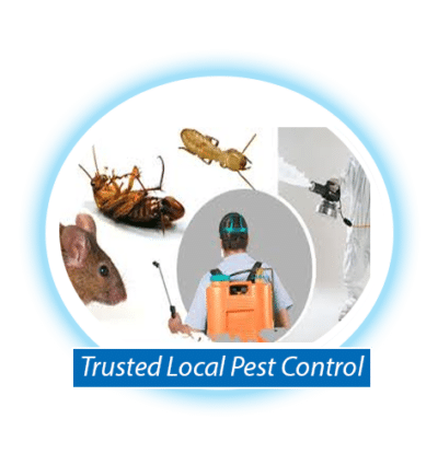 emergency Pest control 24hrs call out - EmerGenie Local near me